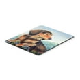 thumbnail image 1 of Carolines Treasures 7023MP Long Hair Chocolate and Cream Dachshund Mouse Pad Hot Pad or Trivet Large multicolor, 1 of 1