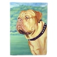 thumbnail image 1 of Carolines Treasures 7024-FLAG-PARENT Dogue de Bordeaux Flag  multicolor, 1 of 1