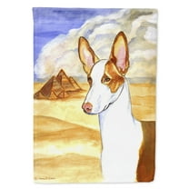 Carolines Treasures 7031-FLAG-PARENT Ibizan Hound Flag  multicolor