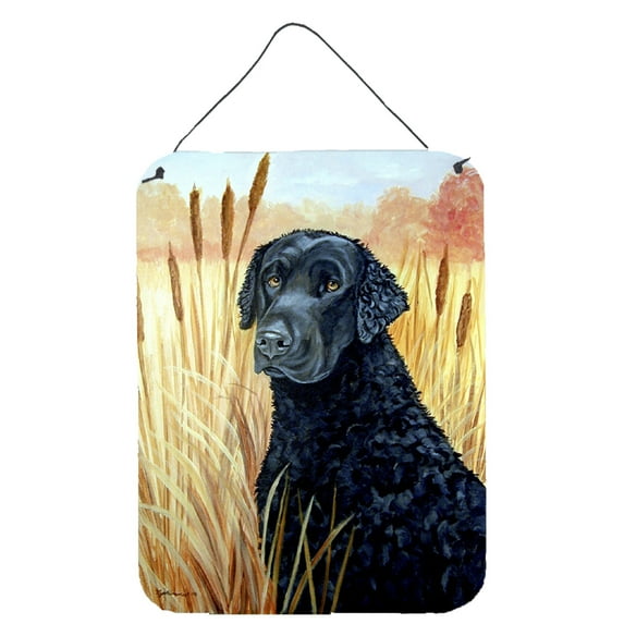 Carolines Treasures 7097DS1216 Curly Coated Retriever Wall or Door Hanging Prints 12x16 multicolor