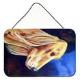 thumbnail image 1 of Carolines Treasures 7124DS812 Saluki Wall or Door Hanging Prints 8x12 multicolor, 1 of 1