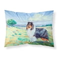 thumbnail image 1 of Carolines Treasures 7140PILLOWCASE Collie Fabric Standard Pillowcase Standard multicolor, 1 of 2