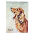 thumbnail image 1 of Carolines Treasures 7240-FLAG-PARENT Dachshund Flag  multicolor, 1 of 2