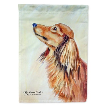 Carolines Treasures 7240-FLAG-PARENT Dachshund Flag  multicolor