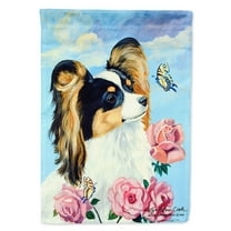 Carolines Treasures 7242-FLAG-PARENT Papillon Flag multicolor