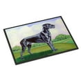 thumbnail image 1 of Carolines Treasures 7245JMAT Great Dane Doormat 24x36 36"L x 24"W multicolor, 1 of 4