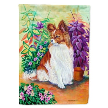 Carolines Treasures 7274-FLAG-PARENT Papillon Flag  multicolor