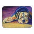 thumbnail image 1 of Carolines Treasures 7344RUG Snoozer Airedale Terrier Machine Washable Memory Foam Mat 19 X 27" multicolor, 1 of 4