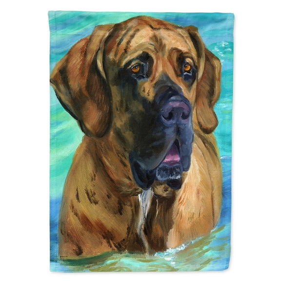 Carolines Treasures 7378CHF Fila Brasilerio House Flag House Size multicolor