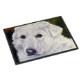 thumbnail image 1 of Carolines Treasures 7418MAT Great Pyrenees Contemplation Doormat 18x27 27"L x 18"W multicolor, 1 of 4