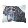 thumbnail image 1 of Carolines Treasures 7419PW1216 Black Labrador Face Fabric Decorative Pillow , 12H x16W, multicolor, 1 of 3