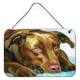 thumbnail image 1 of Carolines Treasures 7420DS812 Chocolate Labrador Waiting Wall or Door Hanging Prints 8x12 multicolor, 1 of 1