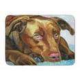 thumbnail image 1 of Carolines Treasures 7420RUG Chocolate Labrador Waiting Machine Washable Memory Foam Mat 19 X 27" multicolor, 1 of 4