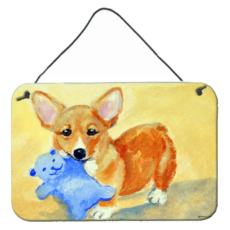 Teddy bear corgi hot sale