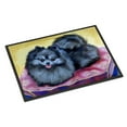 thumbnail image 1 of Carolines Treasures 7503MAT Pomeranian Doormat 18x27 27"L x 18"W multicolor, 1 of 4