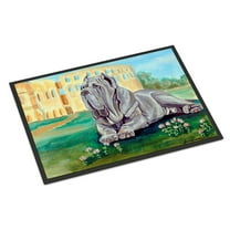 Carolines Treasures 7517MAT Neapolitan Mastiff Doormat 18x27 27"L x 18"W multicolor