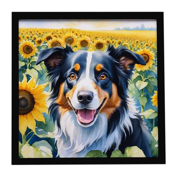 Carolines Treasures  8 x 8 in. Border Collie in Sunflowers Framed Metal Print