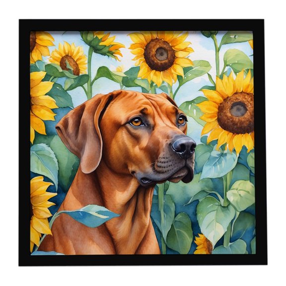 Caroline's Treasures Rhodesian Ridgeback in Sunflowers Framed Metal Print Bathroom, Kitchen, Office, Home Decor Wall Art Ready to Hang, Square, 8X8
