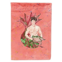 Carolines Treasures 8348-FLAG-PARENT Merman Merman Flag  multicolor