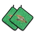 thumbnail image 1 of Carolines Treasures 8675PTHD Turtle Pair of Pot Holders , 7.5HX7.5W, multicolor, 1 of 3