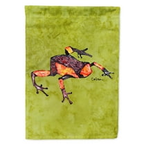 Carolines Treasures 8689-FLAG-PARENT Frog Flag multicolor