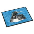 thumbnail image 1 of Carolines Treasures 8717JMAT Loon Doormat 24x36 36"L x 24"W multicolor, 1 of 4
