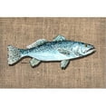thumbnail image 1 of Carolines Treasures 8737PLMT Fish Speckled Trout Fabric Placemat, 1 of 1
