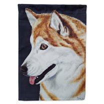 Carolines Treasures AMB1043GF Siberian Husky Flag Garden Size  Small multicolor