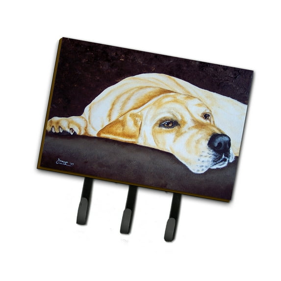 Carolines Treasures AMB1072TH68 Naptime Yellow Labrador Leash or Key Holder Triple multicolor