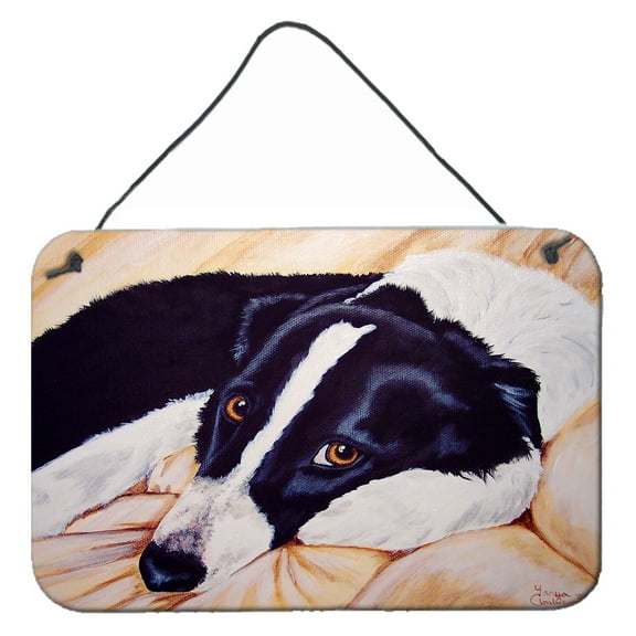 Carolines Treasures AMB1080DS812 Naptime Border Collie Wall or Door Hanging Prints 8x12 multicolor