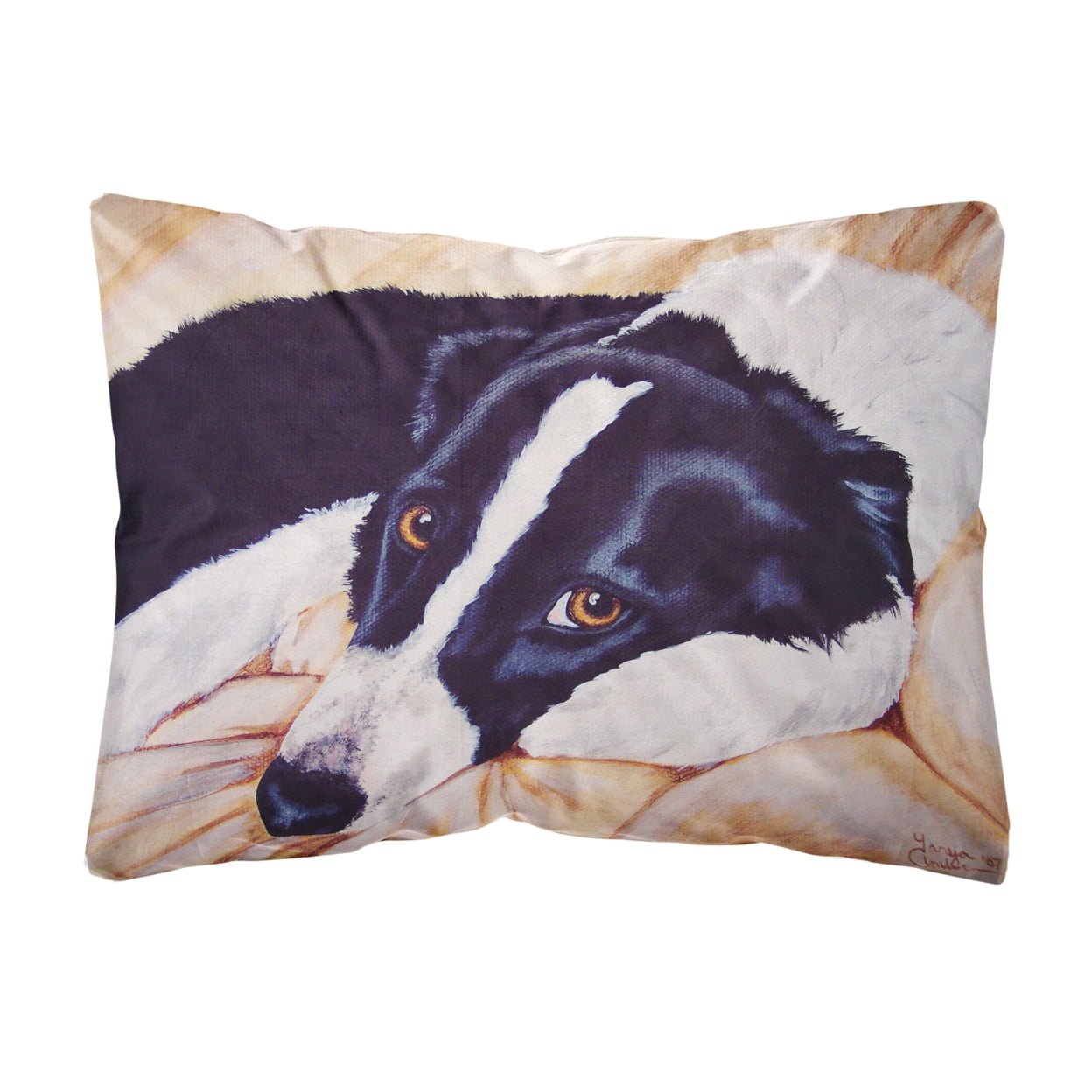 Carolines Treasures AMB1080PW1216 Naptime Border Collie Fabric Decorative Pillow