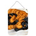 thumbnail image 1 of Carolines Treasures AMB1110DS1216 Dachshund Snuggles Wall or Door Hanging Prints 12x16 multicolor, 1 of 2