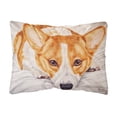 thumbnail image 1 of Carolines Treasures AMB1133PW1216 Fiona Corgi Fabric Decorative Pillow 12H x16W multicolor, 1 of 3