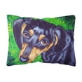 thumbnail image 1 of Carolines Treasures AMB1173PW1216 Tootsie Dachshund Fabric Decorative Pillow 12H x16W multicolor, 1 of 3