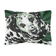 thumbnail image 1 of Carolines Treasures AMB1359PW1216 Emerald Beauty Dalmatian Fabric Decorative Pillow 12H x16W multicolor, 1 of 3