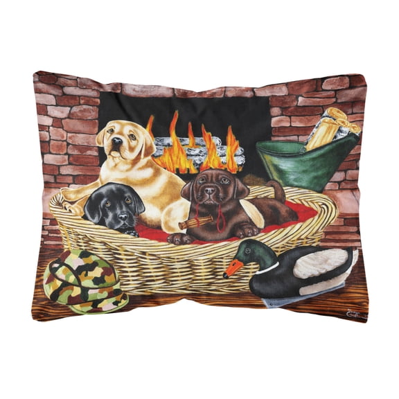 Carolines Treasures AMB1362PW1216 The Next Generation Labrador Fabric Decorative Pillow 12H x16W multicolor