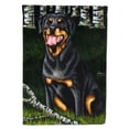 thumbnail image 1 of Carolines Treasures AMB1388GF Backwoods Companion Rottweiler Flag Garden Size  Small multicolor, 1 of 3