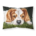 thumbnail image 1 of Carolines Treasures AMB1395PILLOWCASE Cavalier Spaniel in the Grass Fabric Standard Pillowcase Standard multicolor, 1 of 2
