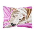 thumbnail image 1 of Carolines Treasures AMB1413PW1216 Dream Girl Pit Bull Fabric Decorative Pillow 12H x16W multicolor, 1 of 3