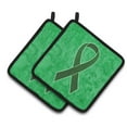 thumbnail image 1 of Carolines Treasures AN1221PTHD Emerald Green Ribbon for Liver Cancer Awareness Pair of Pot Holders  7.5HX7.5W multicolor, 1 of 3