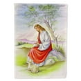 thumbnail image 1 of Carolines Treasures APH0920GF Jesus with Lamb Flag Garden Size  Small multicolor, 1 of 3