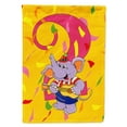 thumbnail image 1 of Carolines Treasures APH2159GF Happy 2nd Birthday Age 2 Flag Garden Size  Small multicolor, 1 of 3