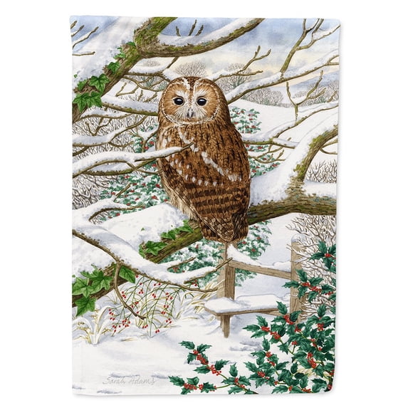 Carolines Treasures ASA2008CHF Tawny Owl Flag Canvas House Size Large multicolor