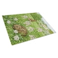 thumbnail image 1 of Carolines Treasures ASA2026LCB Leveret and Momma Rabbit Glass Cutting Board Large , 12H x 16W, multicolor, 1 of 1