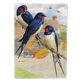thumbnail image 1 of Barn Swallows Garden Flag, 1 of 3