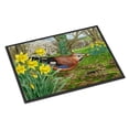 thumbnail image 1 of Carolines Treasures ASA2176JMAT Jay Door Mat Indoor Rug or Outdoor Welcome Mat 24x36 Doormat  36"L x 24"W multicolor, 1 of 4