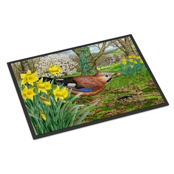 Carolines Treasures ASA2176JMAT Jay Door Mat Indoor Rug or Outdoor Welcome Mat 24x36 Doormat  36"L x 24"W multicolor