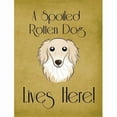 thumbnail image 1 of Caroline's Treasures BB1460GF Longhair Creme Dachshund Spoiled Dog Lives Here Flag Garden Size , Small, multicolor, 1 of 3