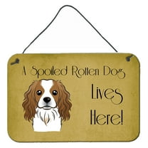 Carolines Treasures BB1472DS812 Cavalier Spaniel Spoiled Dog Lives Here Wall and Door Hanging Prints