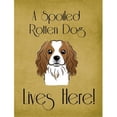 thumbnail image 1 of Caroline's Treasures BB1472GF Cavalier Spaniel Spoiled Dog Lives Here Flag Garden Size , Small, multicolor, 1 of 3